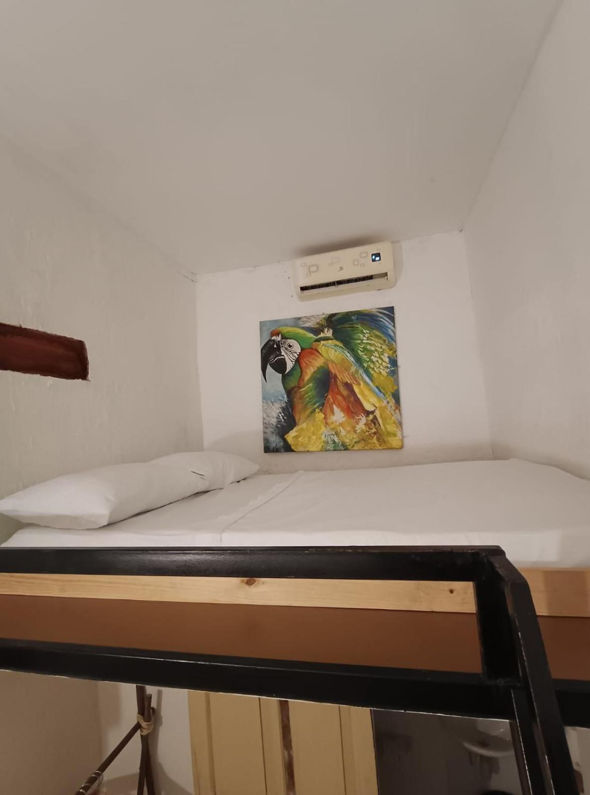 Lotus Central Hotel 圣玛尔塔 外观 照片