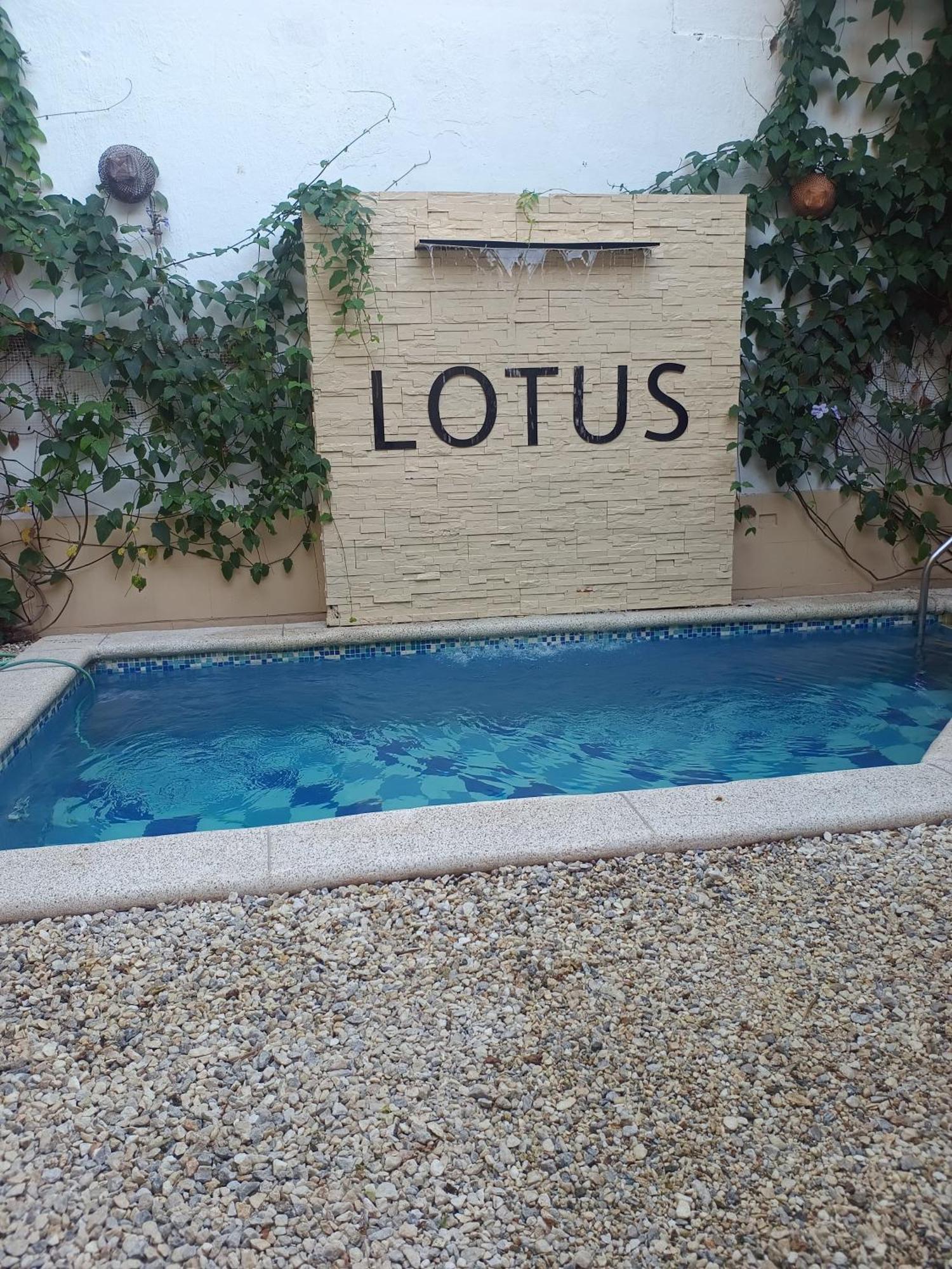 Lotus Central Hotel 圣玛尔塔 外观 照片